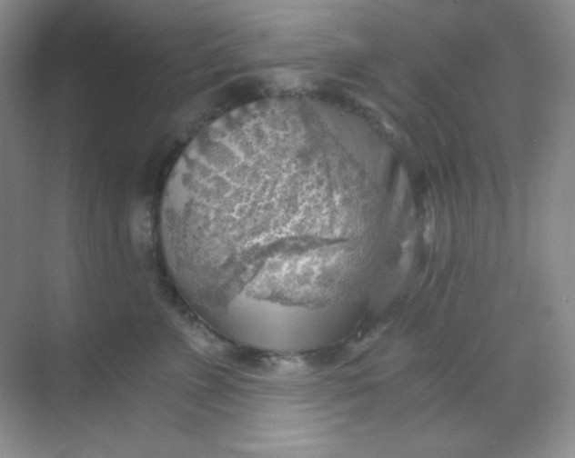 X0000068850715200605191951