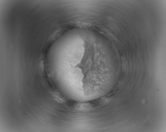 X0000068850716200605191951