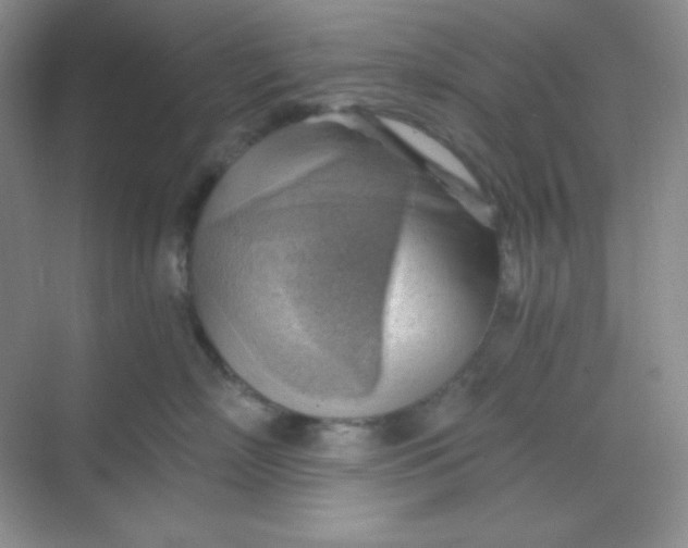 X0000068850718200605191951