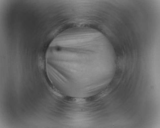 X0000068850719200605191951