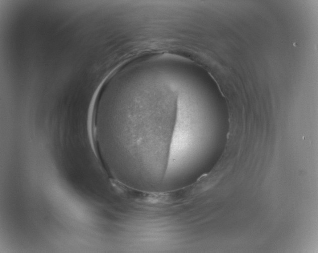 X0000068850720200605191951