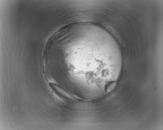 X0000068850721200605191950