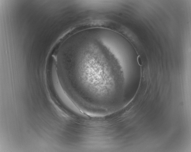 X0000068850722200605191950