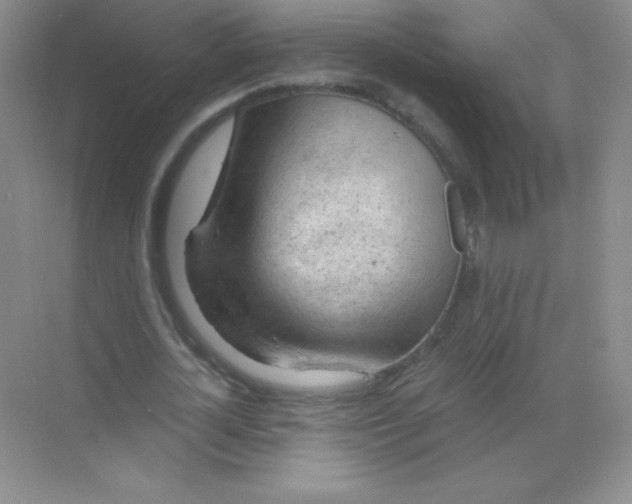 X0000068850724200605191950