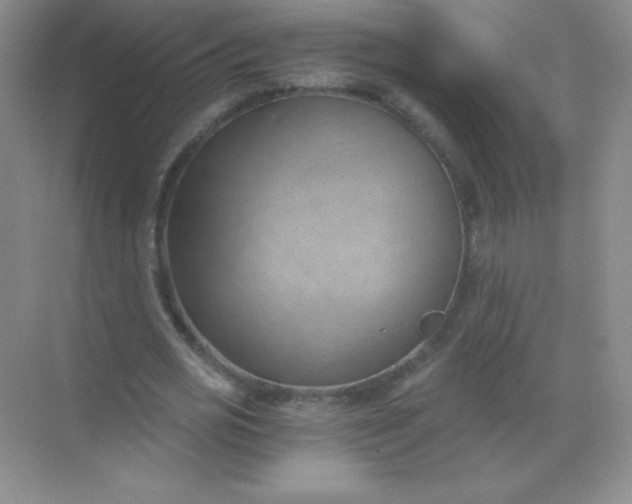 X0000068850725200605191950