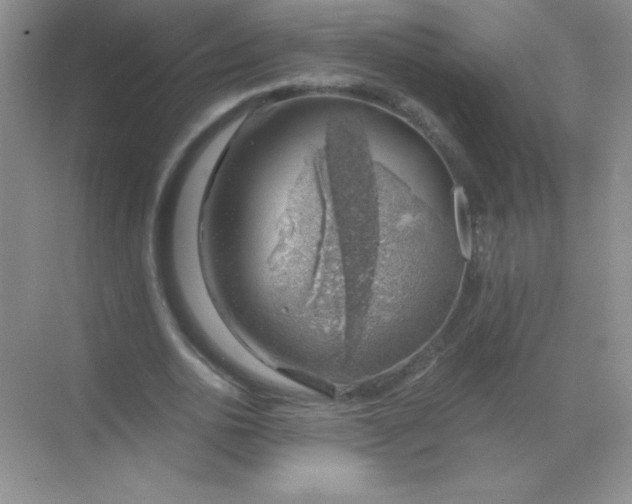 X0000068850726200605191950