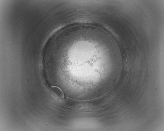 X0000068850727200605191950