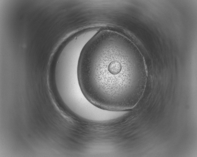 X0000068850728200605191950