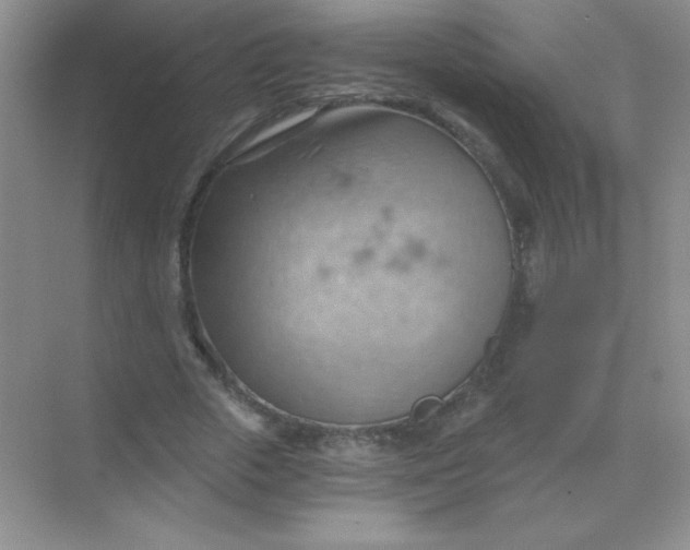 X0000068850729200605191950