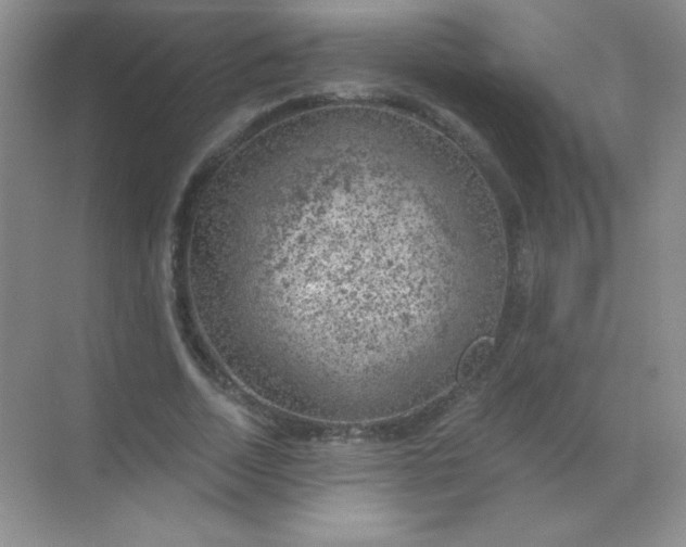 X0000068850730200605191950