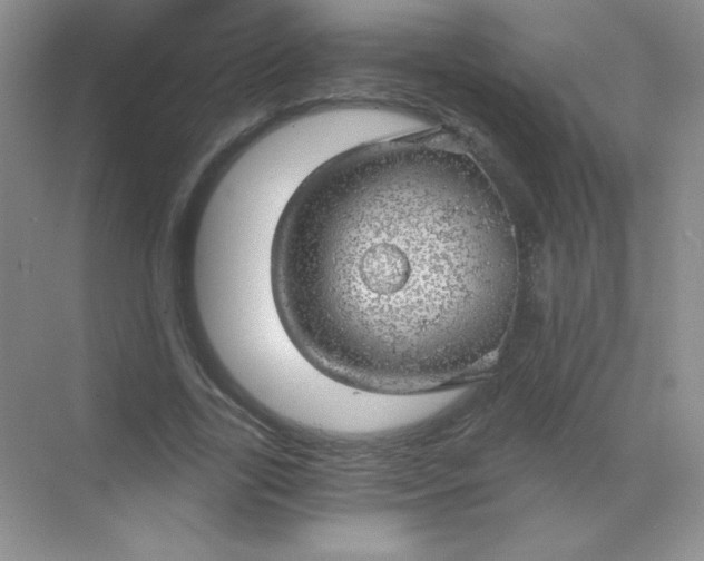 X0000068850731200605191950