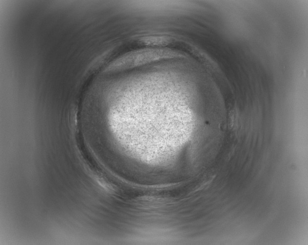 X0000068850733200605191951