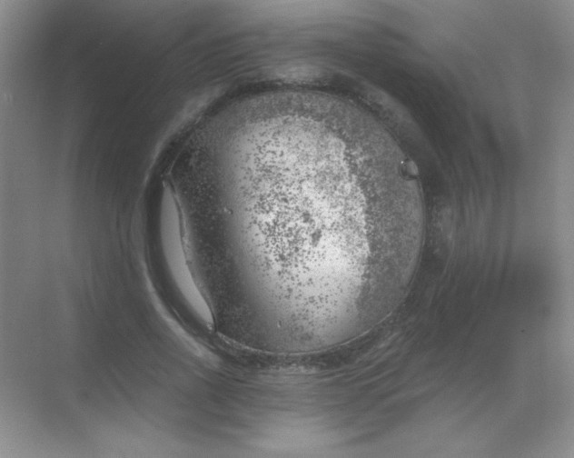 X0000068850734200605191951