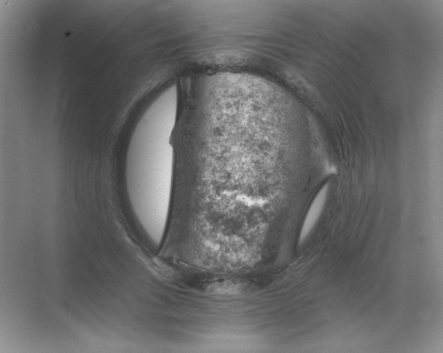 X0000068850735200605191951