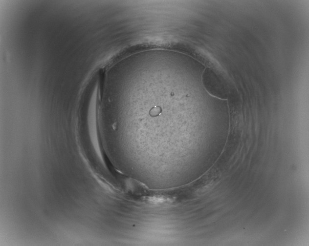 X0000068850736200605191951