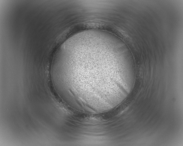 X0000068850737200605191951