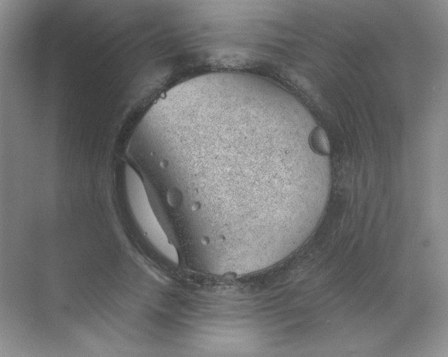 X0000068850738200605191951