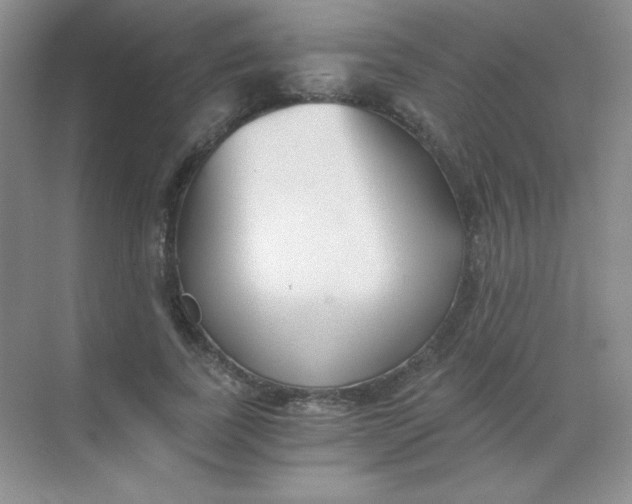 X0000068850739200605191951