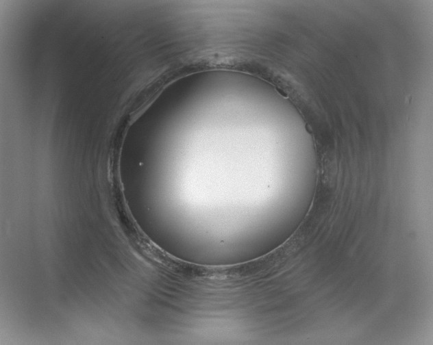 X0000068850740200605191951