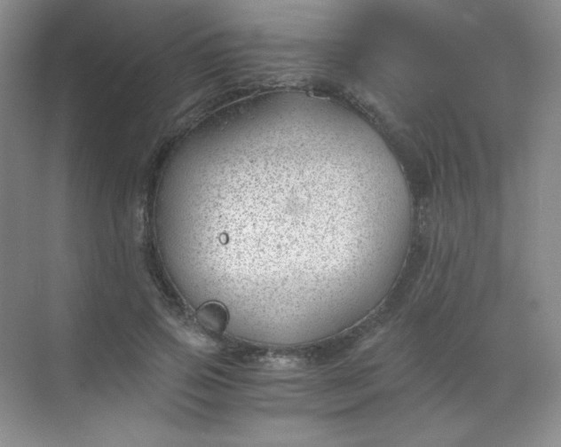 X0000068850741200605191951