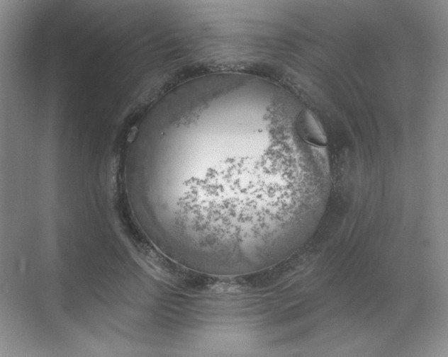 X0000068850742200605191951