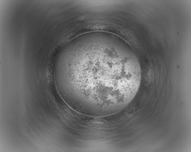 X0000068850743200605191951