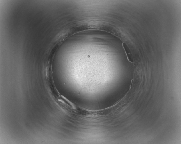 X0000068850744200605191951