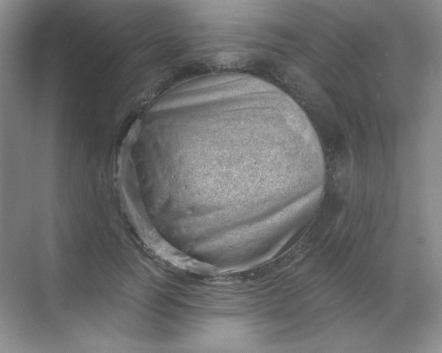 X0000068850746200605191951