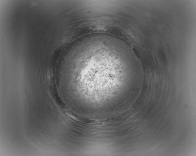 X0000068850747200605191951