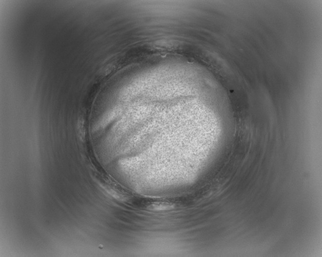 X0000068850749200605191951