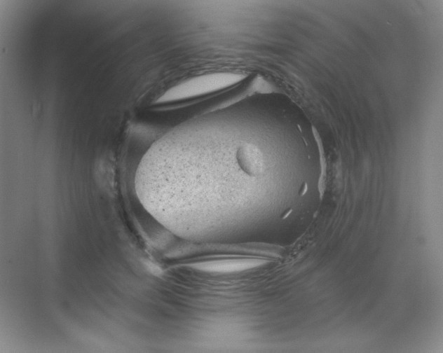 X0000068850750200605191951