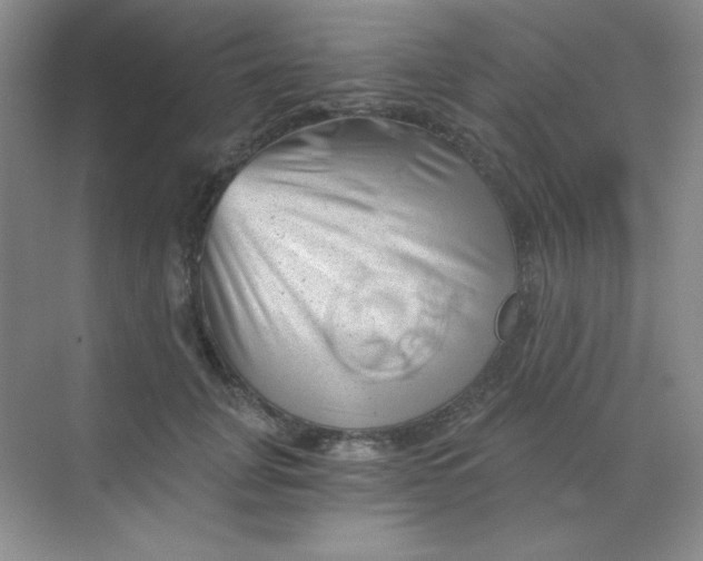 X0000068850751200605191951