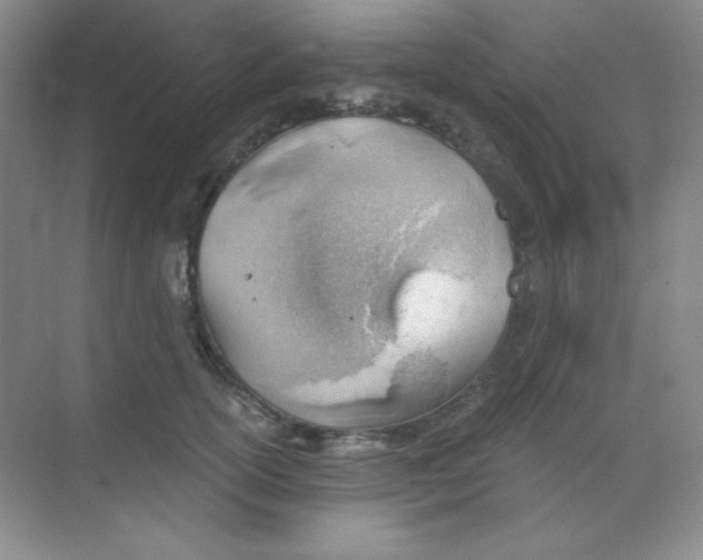 X0000068850754200605191951