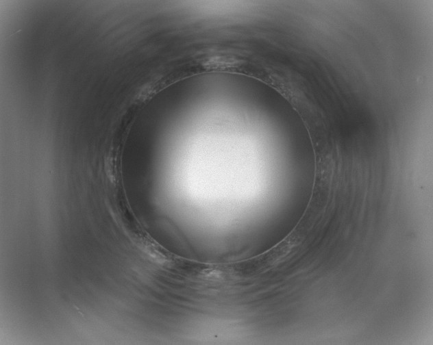 X0000068850755200605191951