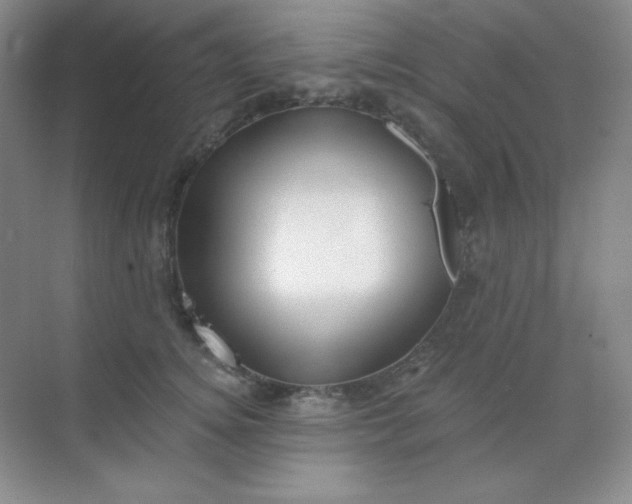 X0000068850756200605191951