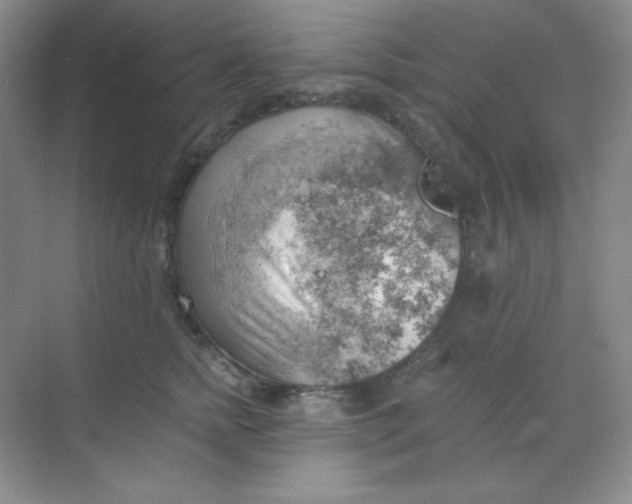 X0000068850758200605191951