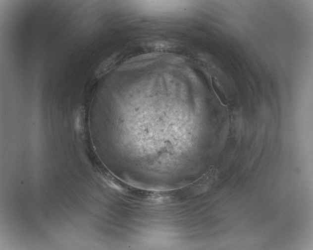 X0000068850760200605191951