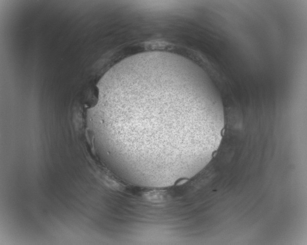 X0000068850761200605191951