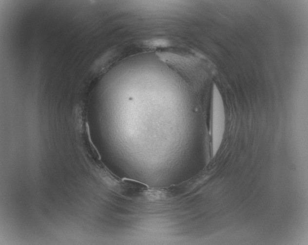 X0000068850762200605191951