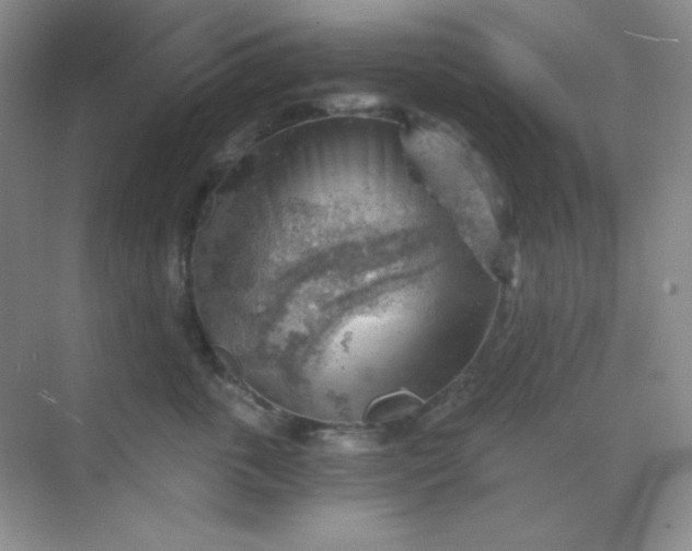 X0000068850763200605191951