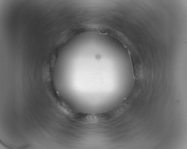 X0000068850764200605191951