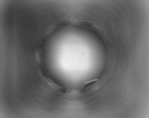 X0000068850768200605191951