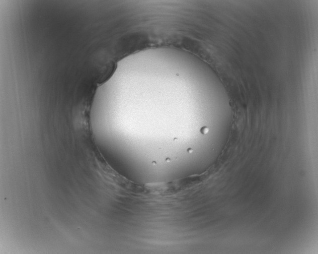 X0000068850770200605191950