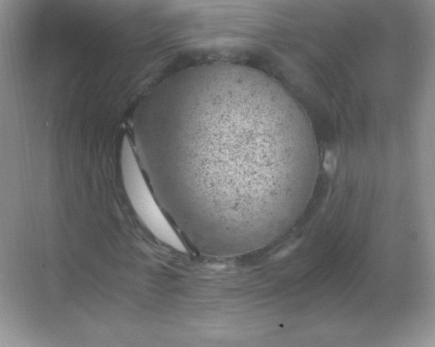 X0000068850771200605191950