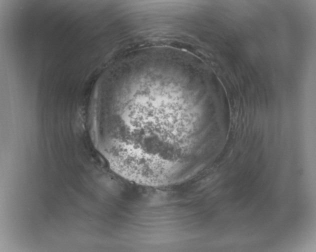 X0000068850772200605191950