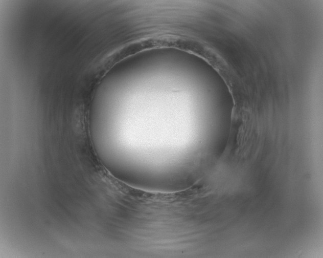 X0000068850773200605191950