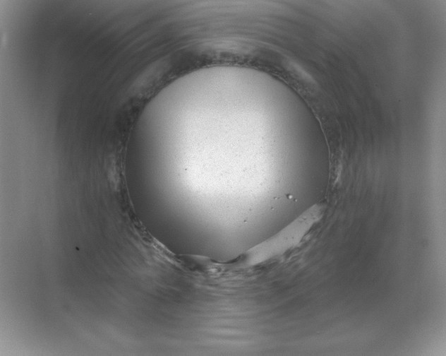 X0000068850774200605191950