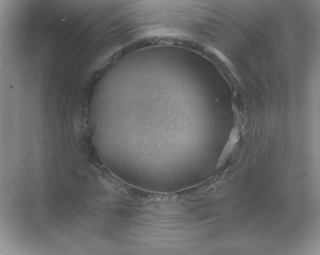 X0000068850775200605191950