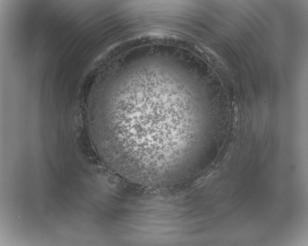 X0000068850776200605191950