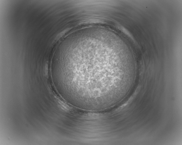 X0000068850777200605191950